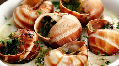 Terroirs de Chefs - Poitou Charentes - Les escargots