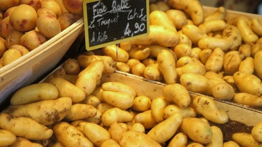 Pommes de terre - ratte du Touquet