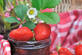 confiture fraise basilic