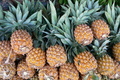 L'Ananas